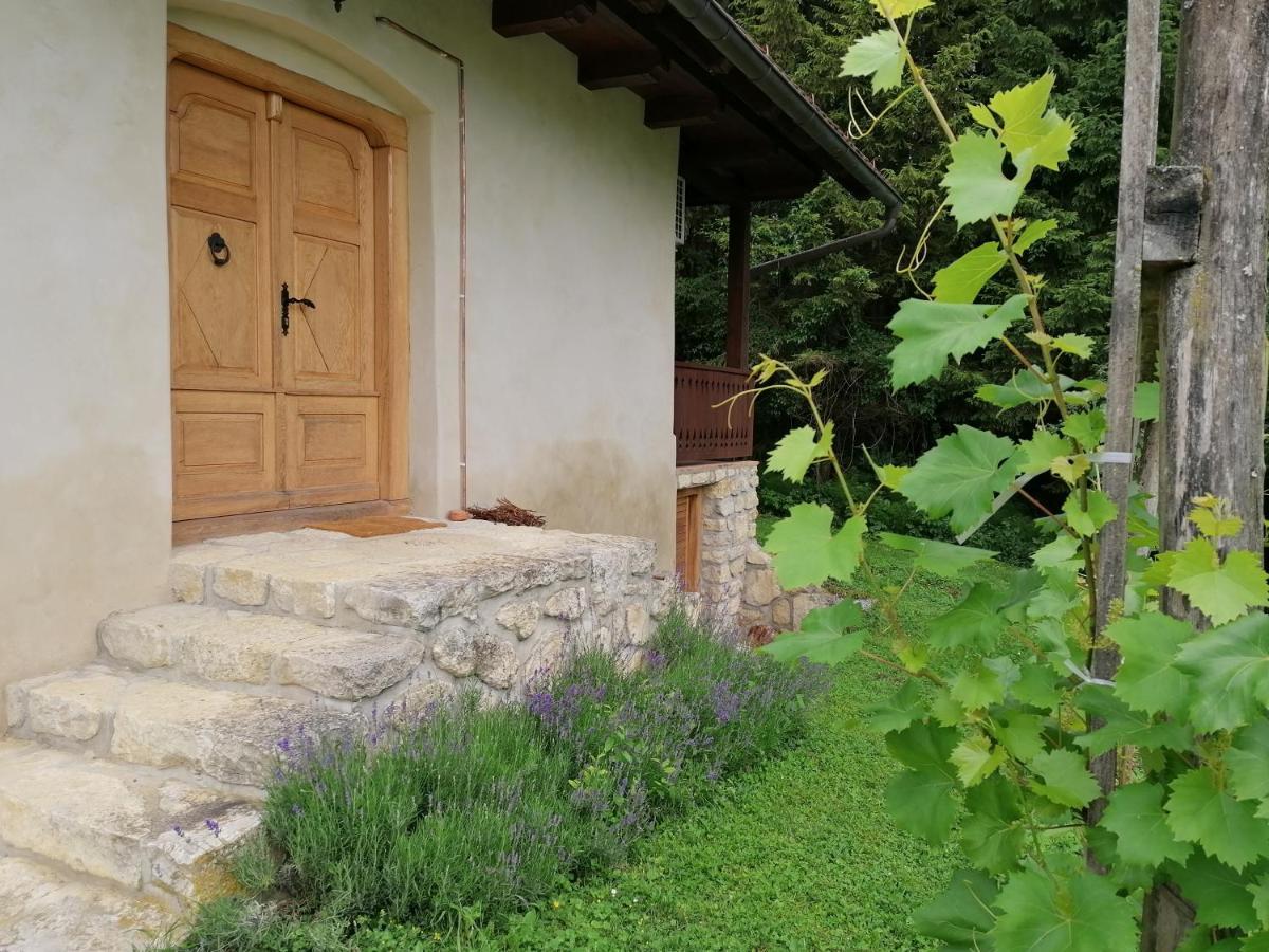 Holiday House Apartment Voukov Mlin Smarje pri Jelsah Экстерьер фото